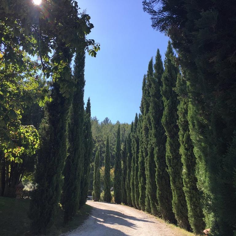 Agriturismo Monastero Di San Biagio Nocera Umbra Eksteriør billede